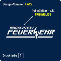 Design FW29